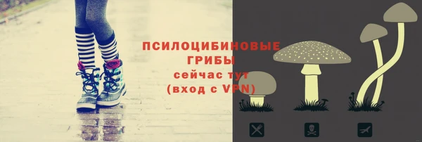 2c-b Магас