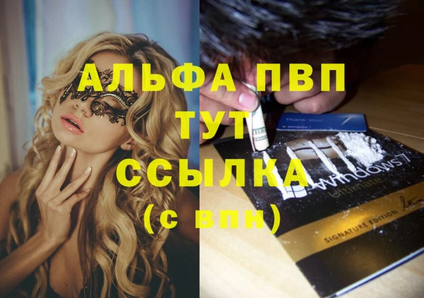 эйфоретик Магадан