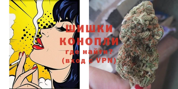 ПСИЛОЦИБИНОВЫЕ ГРИБЫ Калининец