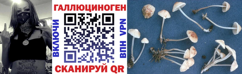 сайты даркнета официальный сайт  где продают наркотики  Нальчик  Псилоцибиновые грибы мухоморы 