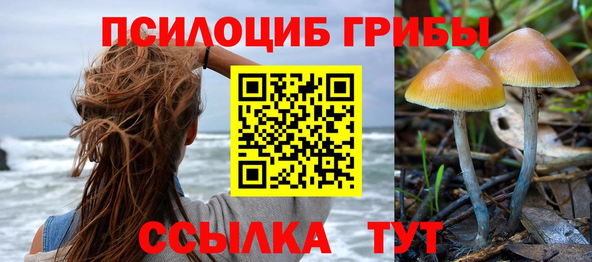 Псилоцибиновые грибы Magic Shrooms  Вход с VPN  Нальчик 