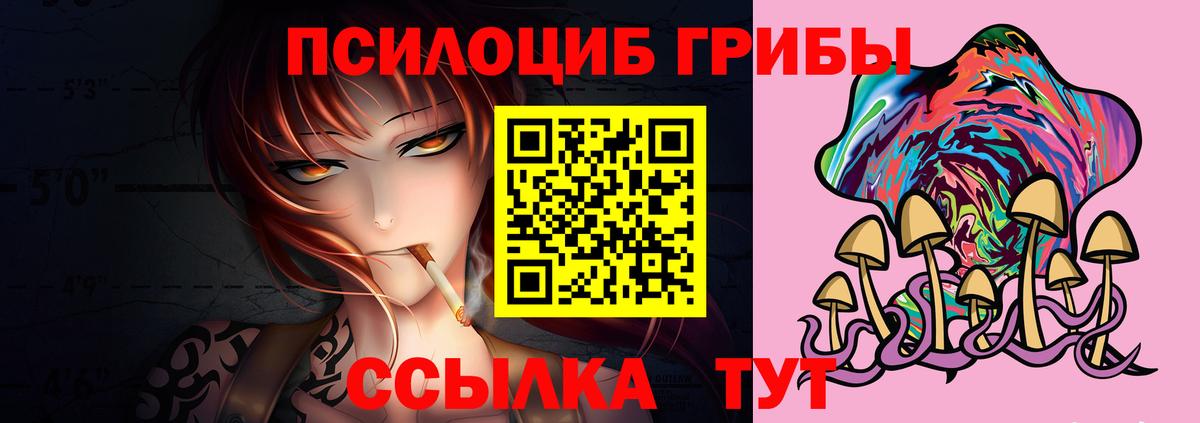 Галлюциногенные грибы прущие грибы Нальчик